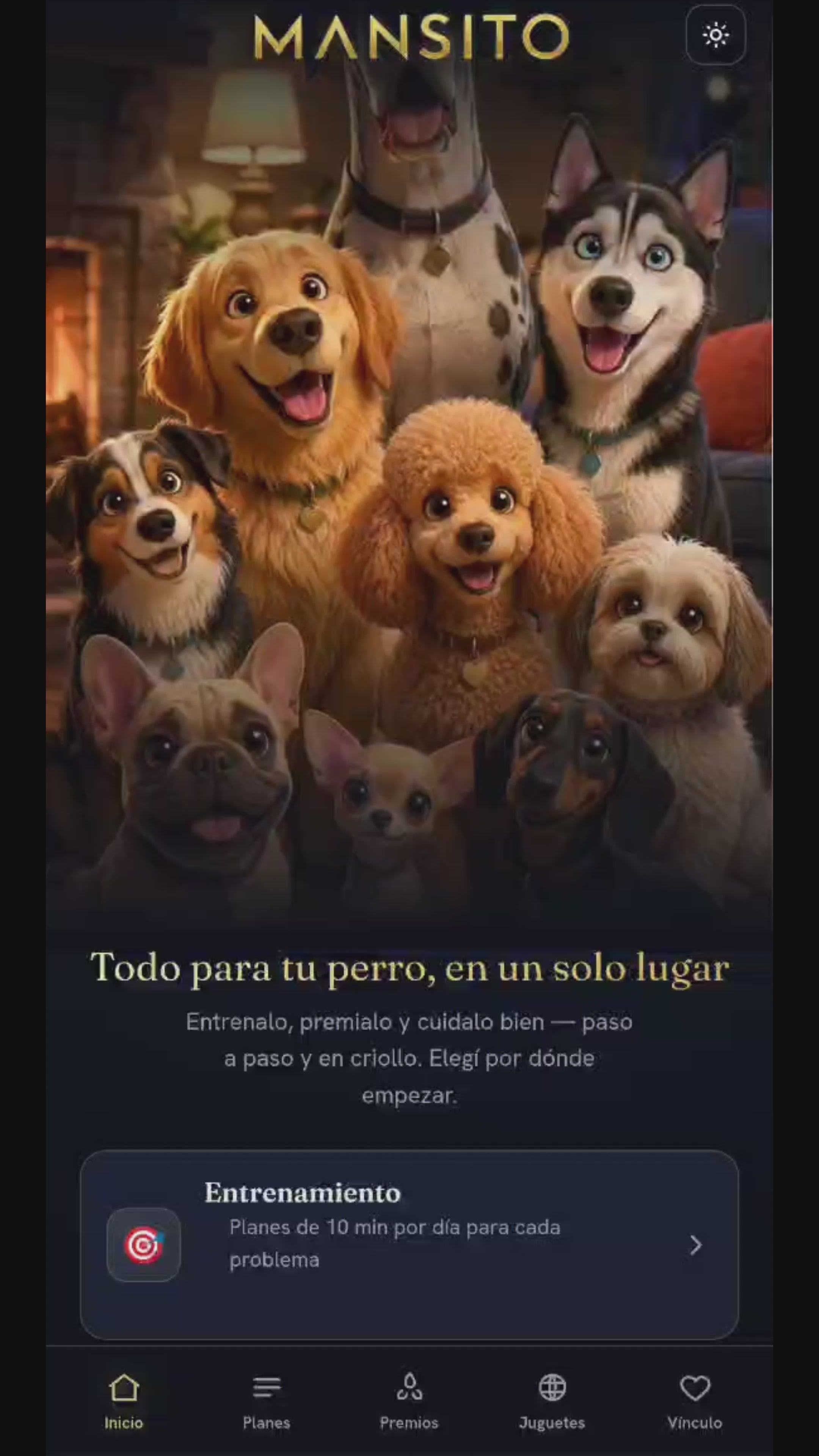 Cargar video: 
